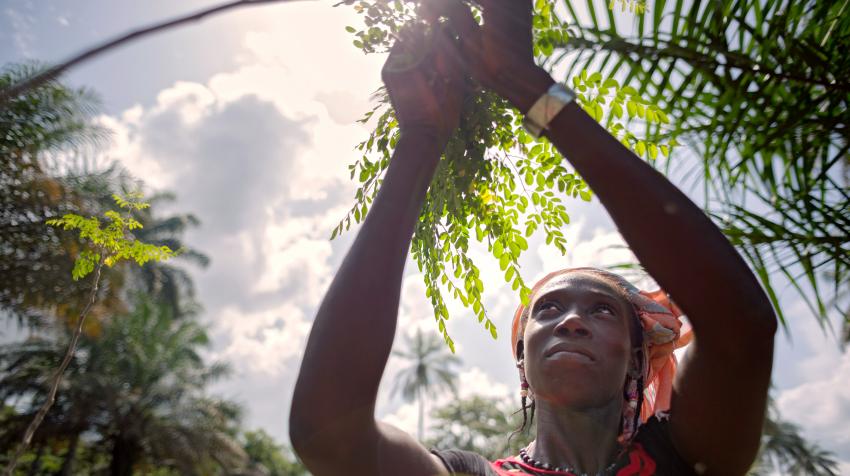 Femmes, les braves gestionnaires de la nature